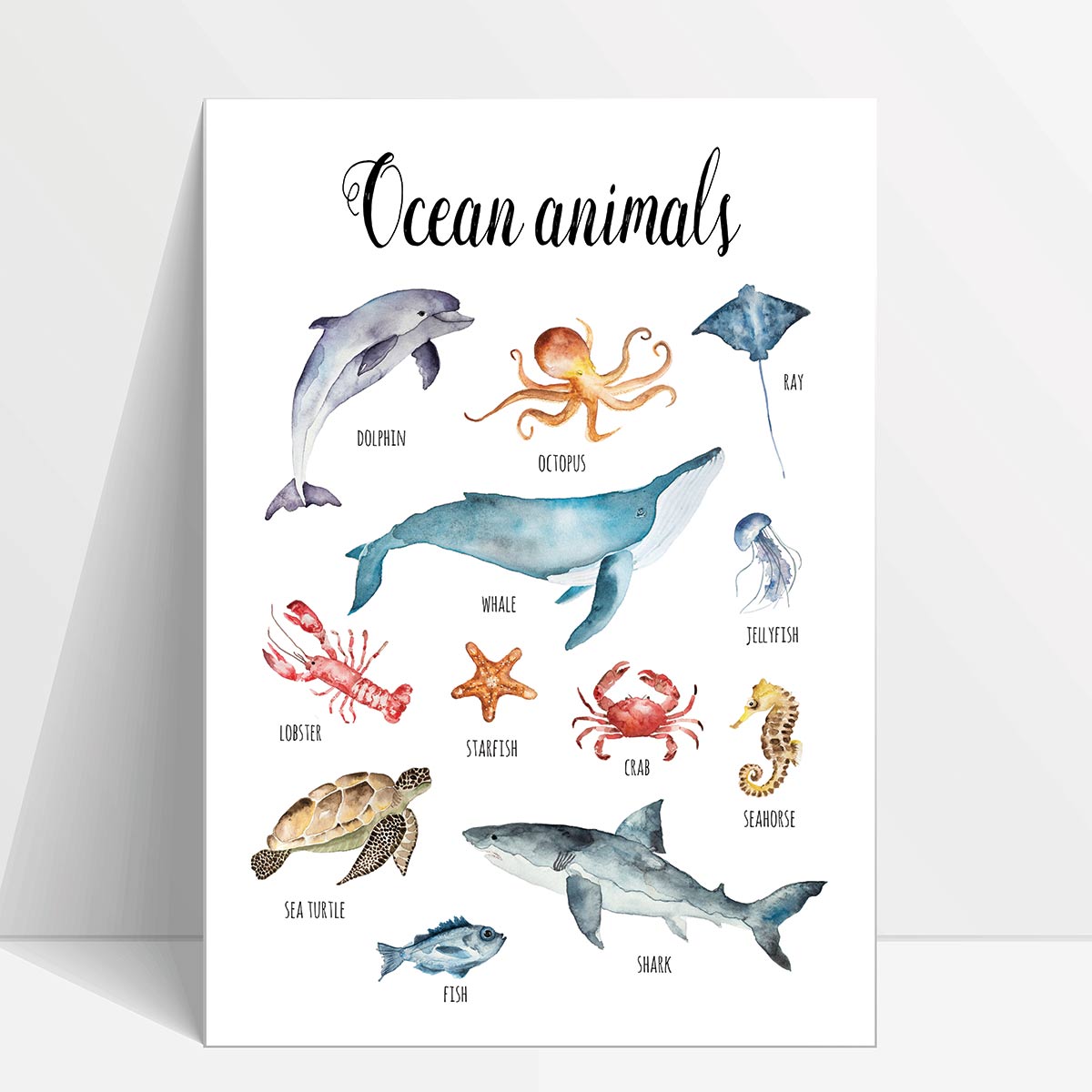 Marine Life on Fingertips